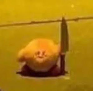 Meet your Posher, George